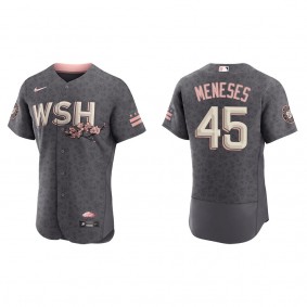 Men's Joey Meneses Washington Nationals Gray City Connect Authentic Jersey